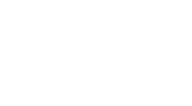 Vedo Industries